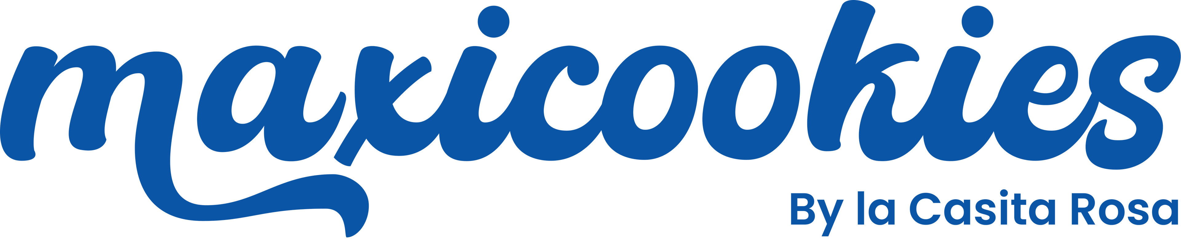 Maxicookies